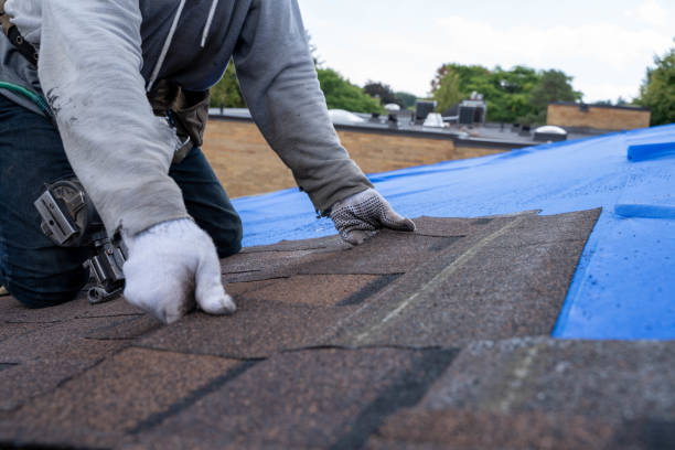 Best Metal Roofing Contractor  in Crescent City, CA